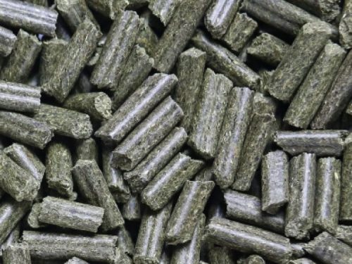 Hobby First Guinea Pig Complete - 100% GMO og kornfri - Åben