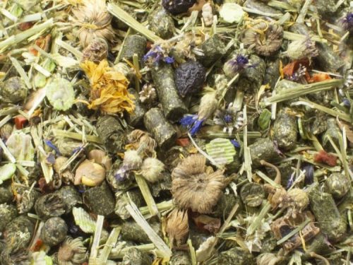 JR Farm Chinchillasmovs åben