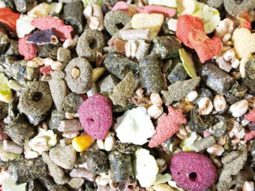 JR Farm Dværgkaninsmovs åben