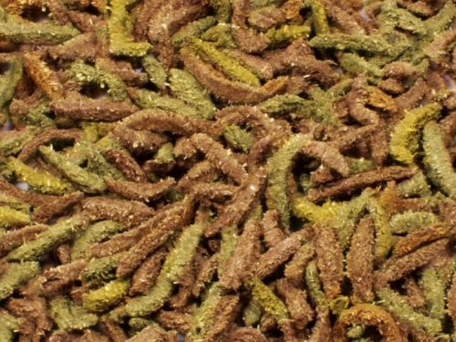 JR Farm Grainless Health Complete Marsvin 600g åben