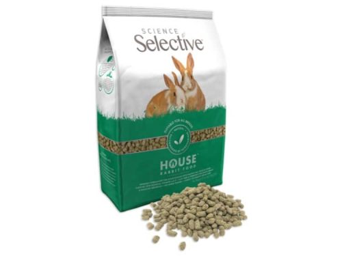 Science Selective Kanin House